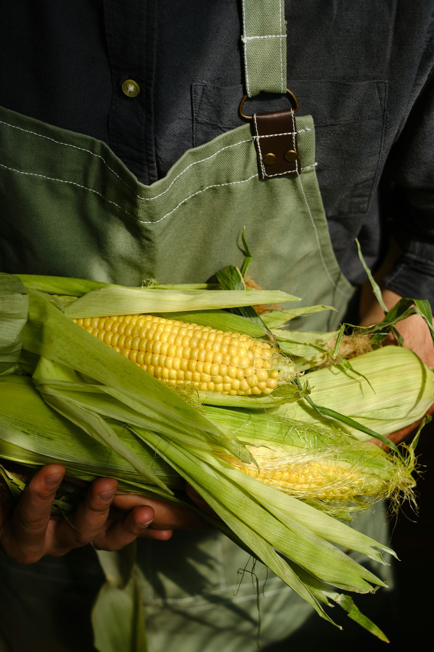 5 recetas otoñales que transformarán tu mesa